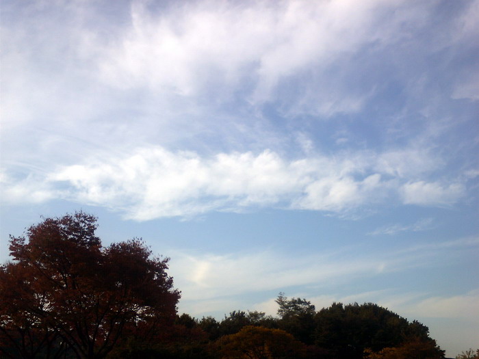 파일:Sky40.jpg
