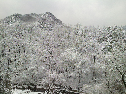 파일:Snowmnt.jpg