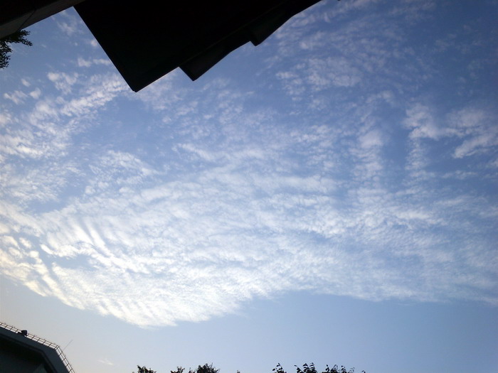 파일:Sky19.jpg
