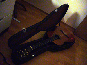 파일:Guitar.jpg