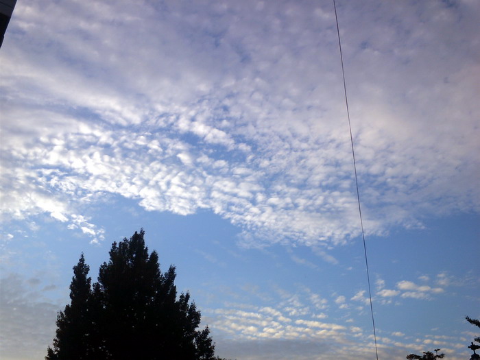 파일:Sky16.jpg