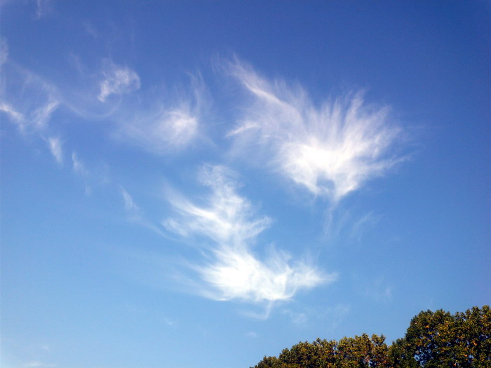 파일:Sky21.jpg