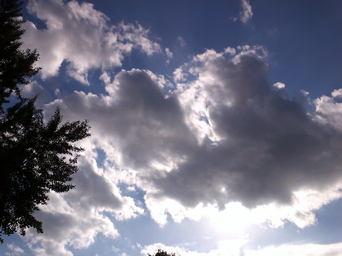 파일:Sky36.jpg