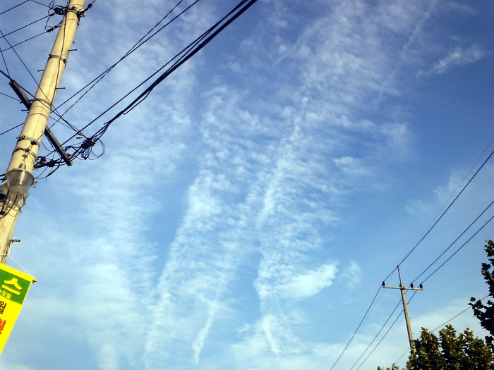 파일:Sky41.jpg